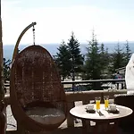 El Cerro - Only Adults 2*