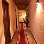 El Cerro - Only Adults 2*