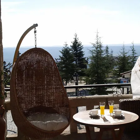 El Cerro - Only Adults 2*