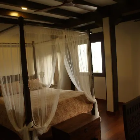 El Cerro - Only Adults 2*