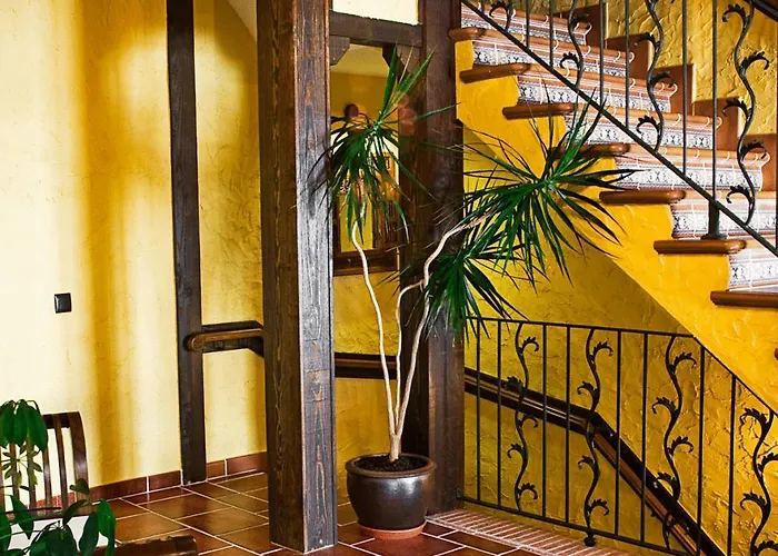 El Cerro - Only Adults