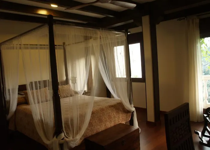 El Cerro - Only Adults 2*